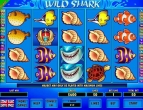 Wild Shark