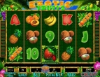 Exotic Fruits 1