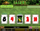 Amazonia 4